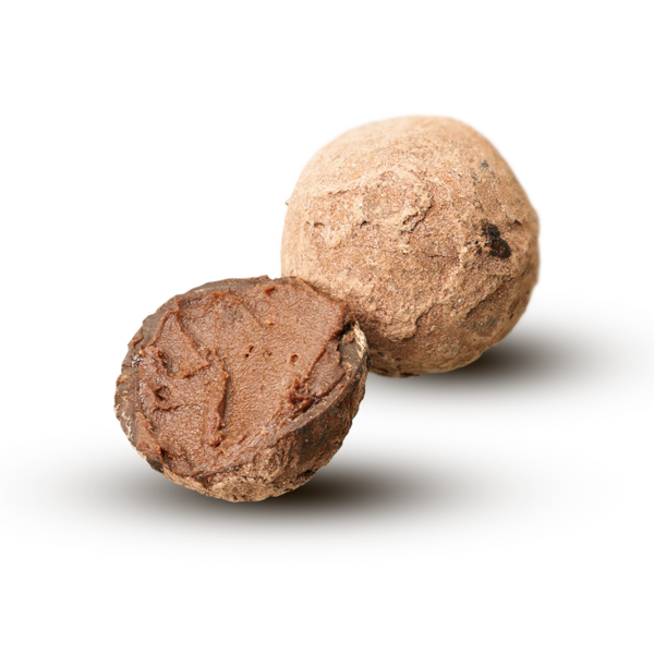 Galapagos-Tr&uuml;ffel